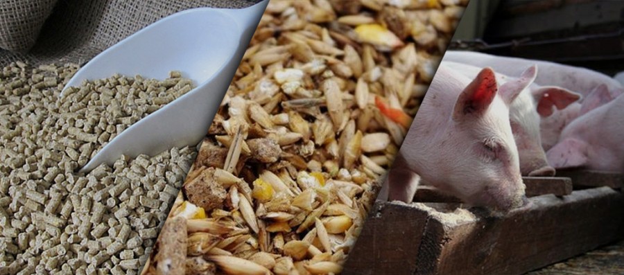 Обладнання для виготовлення комбікорму Buschhoff як надійна основа продуктивного агровиробництва