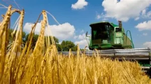 Польові роботи: професійні аграрні послуги для фермерів