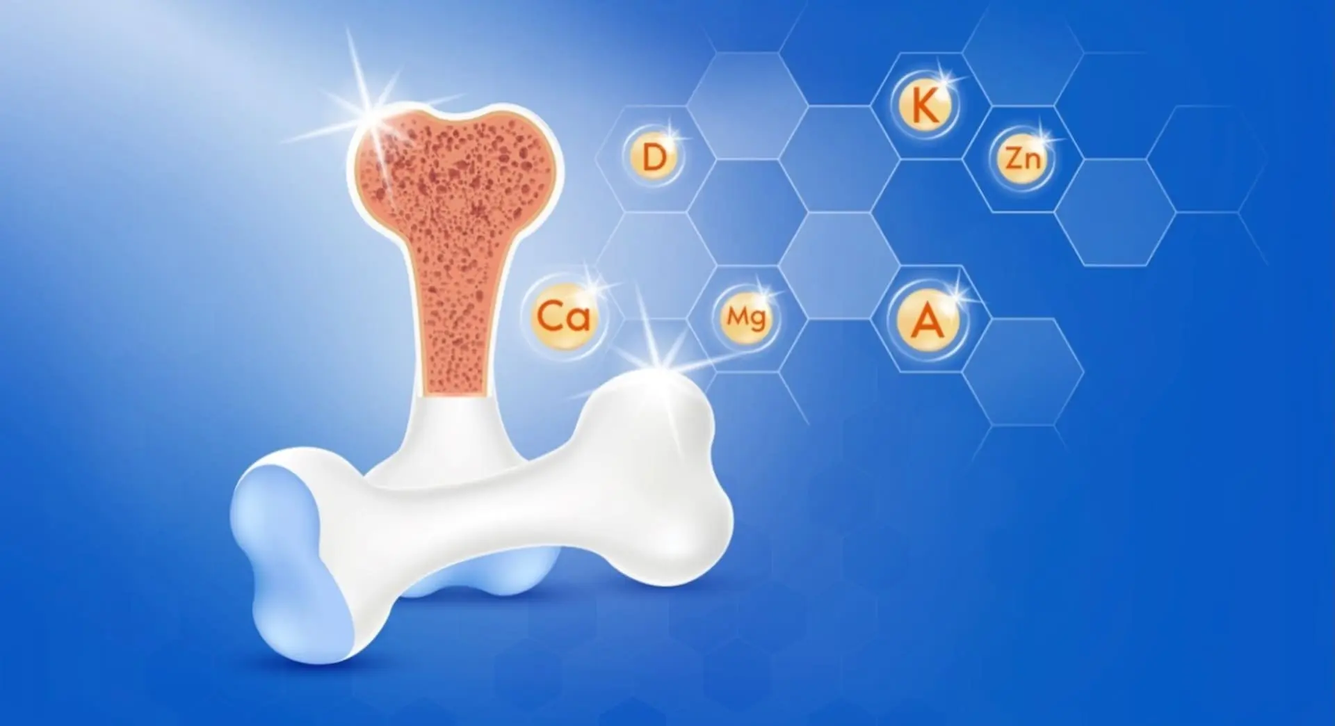 Витамины для костей: что нужно для прочности нашего скелета