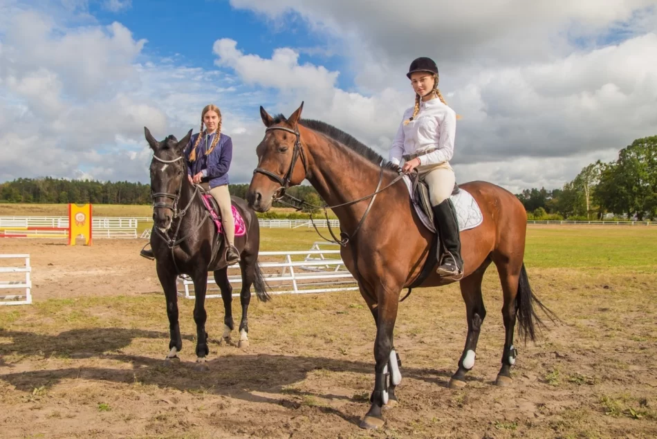 Тренування з верхової їзди: як влаштований процес навчання і що потрібно знати новачку