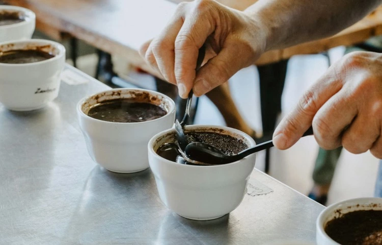 Кавова індустрія України: глибока аналітика ринку, обсмаження та споживчі тренди