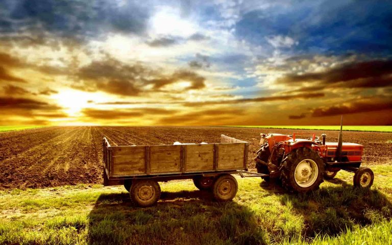 Запчастини до тракторів: як вибирати, де купувати і на чому не варто економити